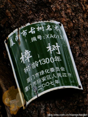 厦门民间信仰：植物崇拜动物崇拜