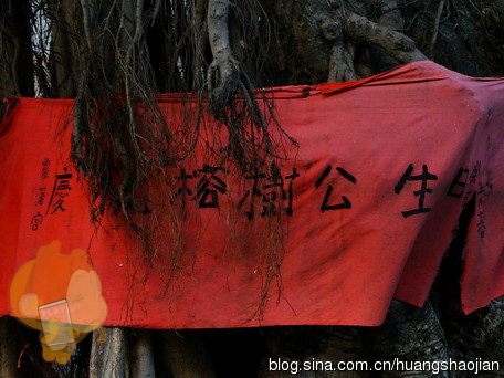 厦门民间信仰：植物崇拜动物崇拜